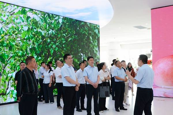 1716428740807338.jpg 011.jpg